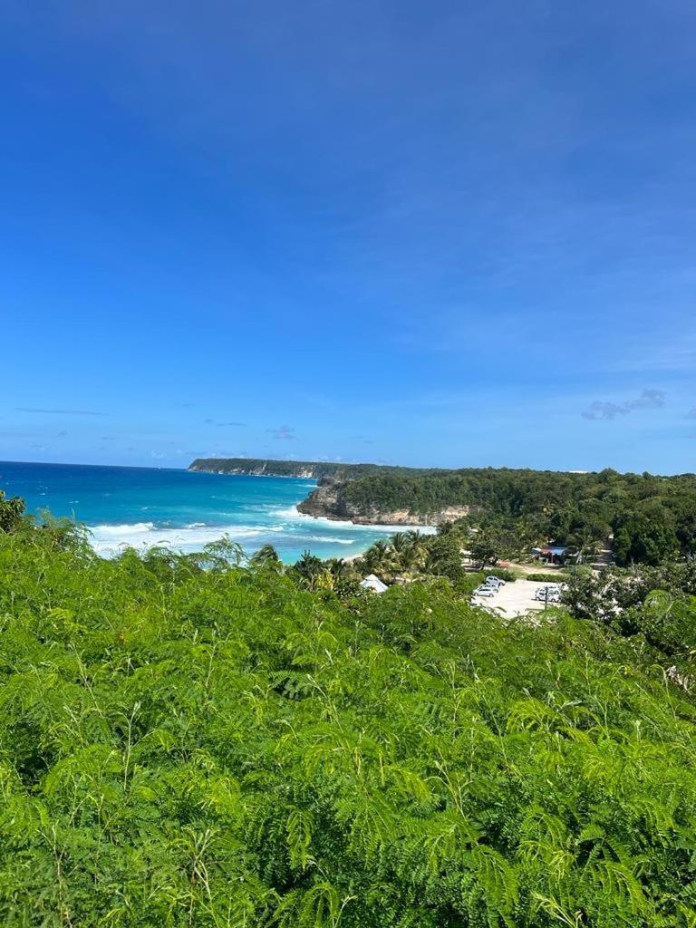  La Kaz A Coyoky Villa Anse-Bertrand Екстериор снимка